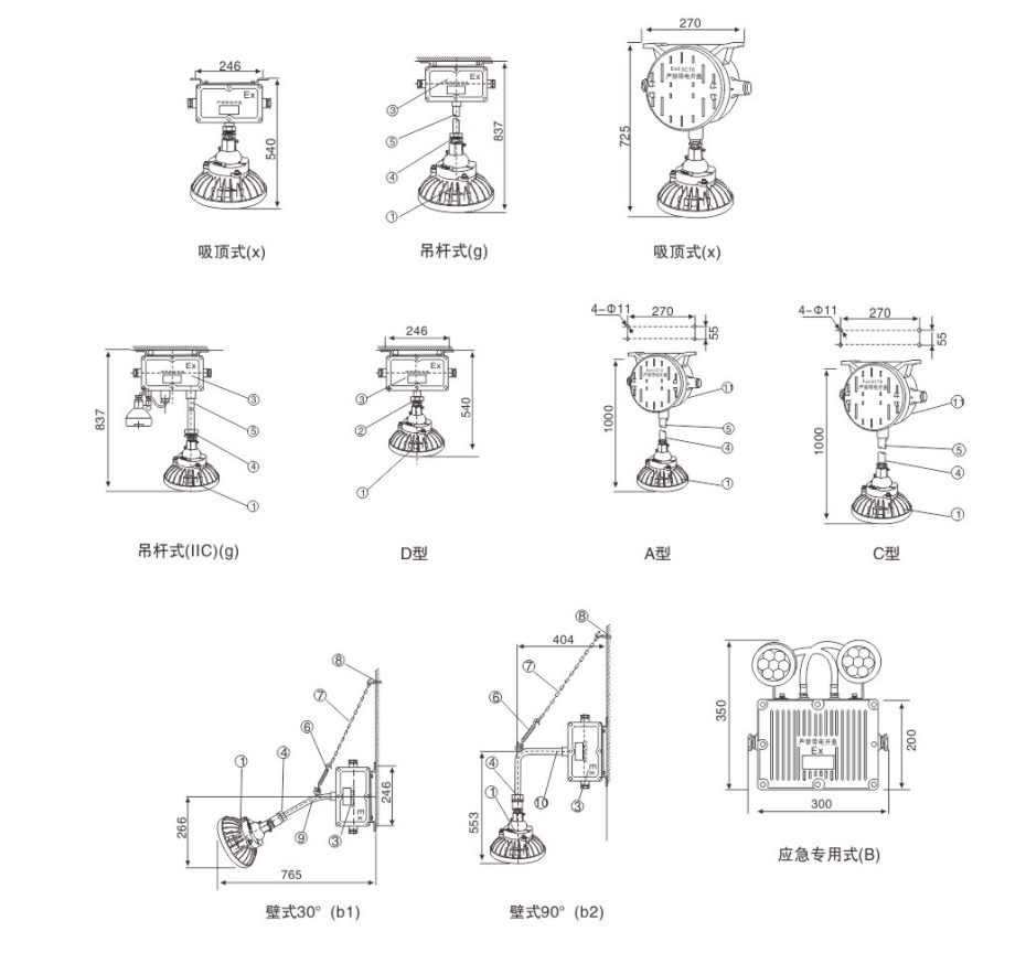 BYY51系列防爆应急灯外形安装尺寸