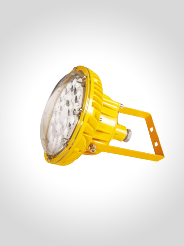 防爆LED免维护节能灯(ⅡC)KWD21系列