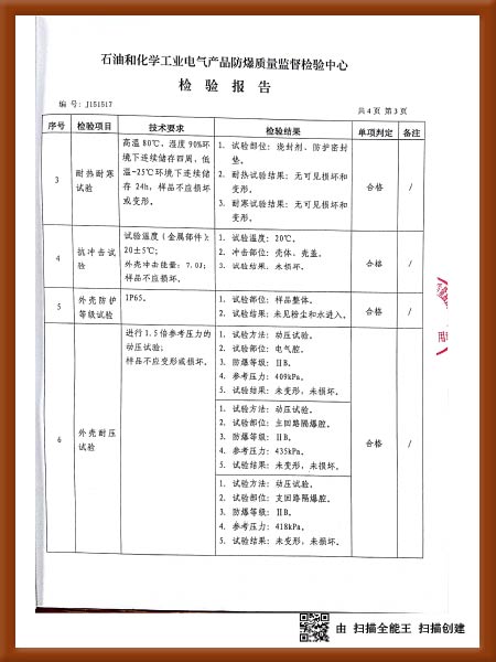 IIBT4检验报告