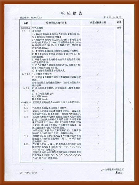 正压型防爆电气控制柜检验报告7