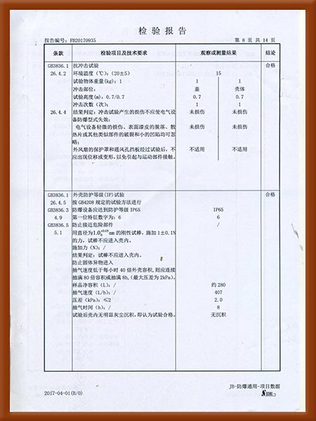 正压型防爆电气控制柜检验报告9