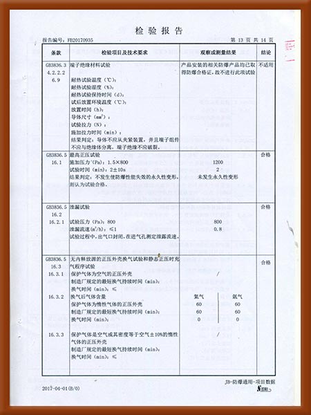 正压型防爆电气控制柜检验报告14